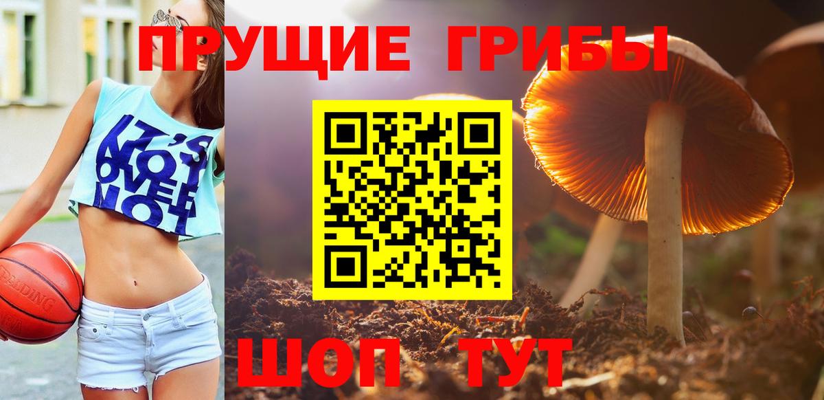 Галлюциногенные грибы мухоморы  Вход с VPN  Шелехов 